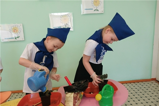 Акция "Цветок ветерану"