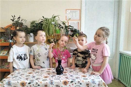 Наблюдение за ветками деревьев