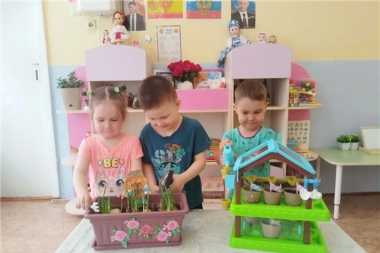 Посев семян с детьми