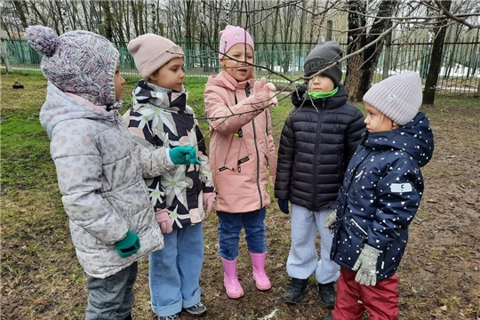 Наблюдение за природой