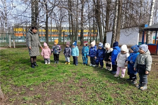 Наблюдение за травой