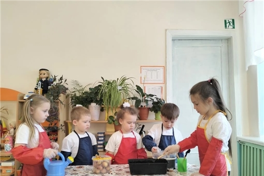 Наблюдение за ростом лука