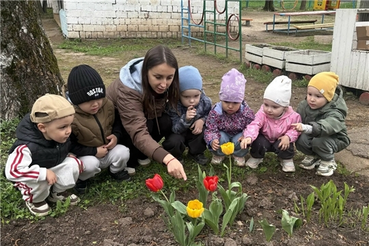 Наблюдения за изменеиями в природе 