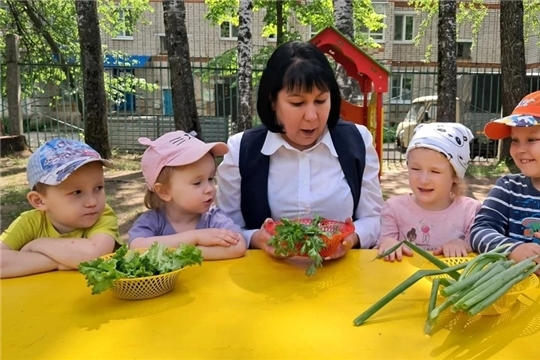 Витаминная зелень