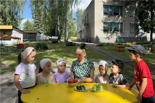 Польза свежих огурцов и помидор
