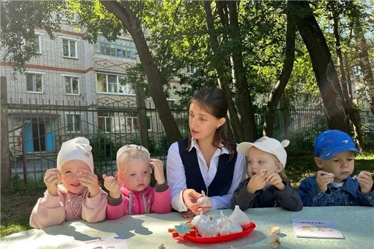 Полезные свойства чеснока