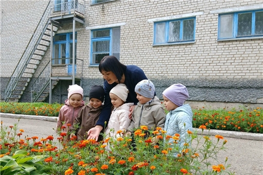 Наблюдение за бархатцами