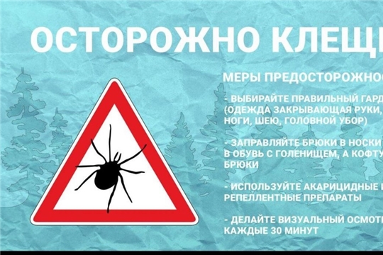 Внимание! Клещи!