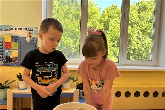 Что мы знаем о дереве?