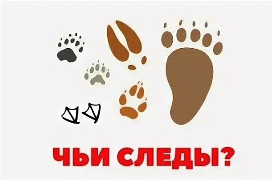 «А чьи же это следы?» (1 корпус)
