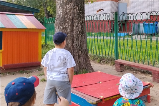 Осторожно, животные!