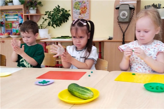 Огуречный день в саду