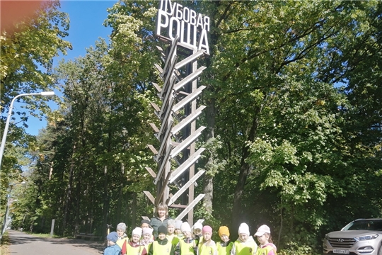 Образовательная экскурсия в дубовую рощу.