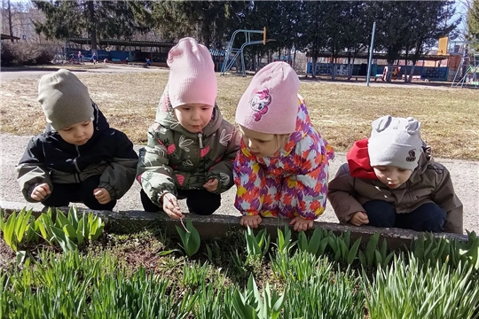 Весеннее изменение в природе— это маленькое чудо