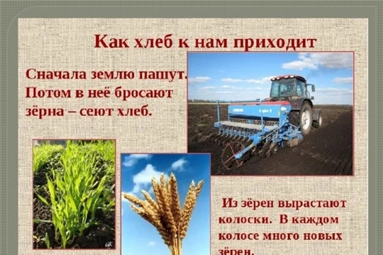 «Откуда к нам хлеб на стол пришёл?»