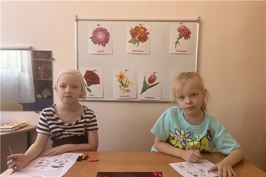 Познакомились с Цветами: изучали виды цветов, их строение и особенности