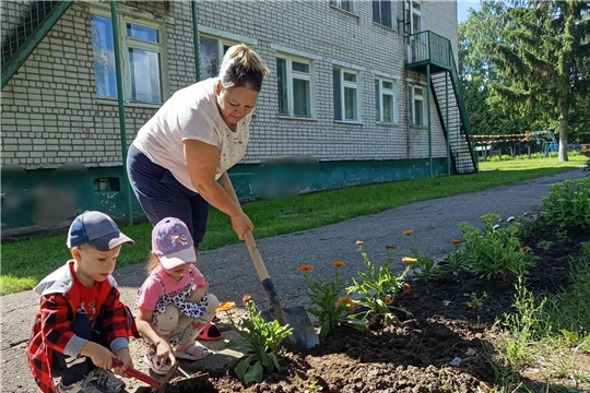 Трудовая деятельность на прогулке: полив цветов