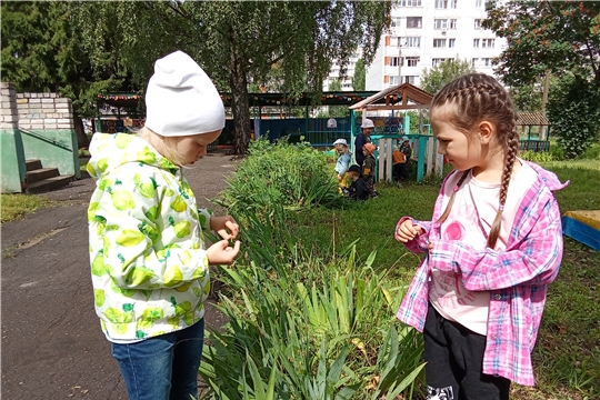 Капли дождя на кончиках листьев, словно прозрачные бусы