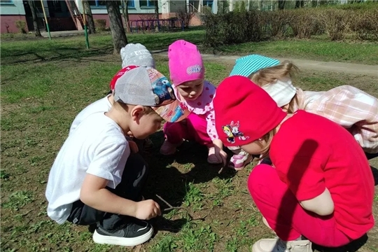 Маленькие исследователи: наблюдаем за насекомыми 