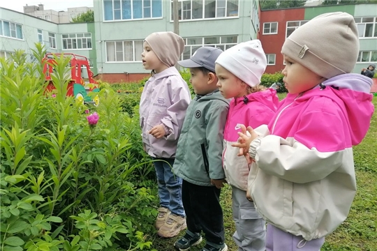 Осторожно, насекомые!