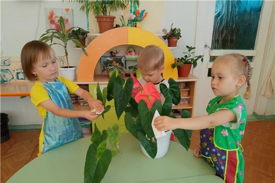 Маленькие садоводы: уход за растениями и любовь к природе