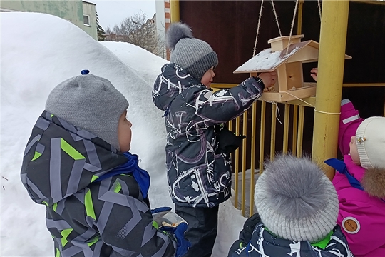 Как дети помогают природе: забота о птицах