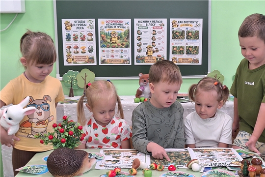 Незнакомые дары природы: что делать, если увидел?