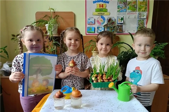 Посадили мы лучок