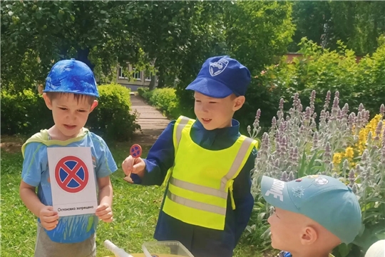 Основы дорожной безопасности