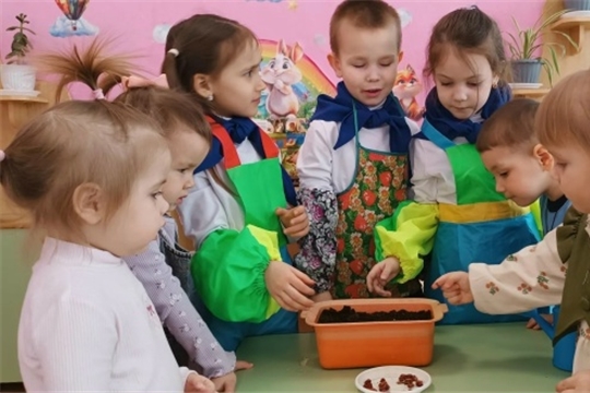 Экологическая акция "Зеленый подоконник"