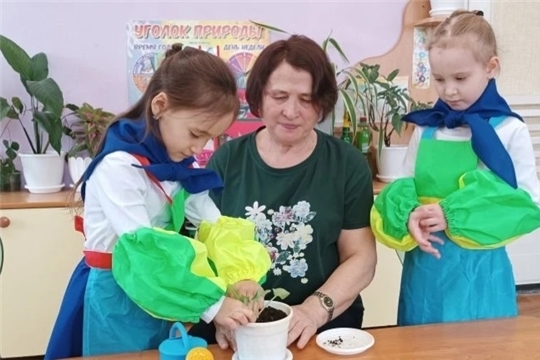 Акция "Цветок ветерану"