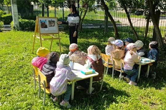 Интеллектуальная игра "Знатоки природы"