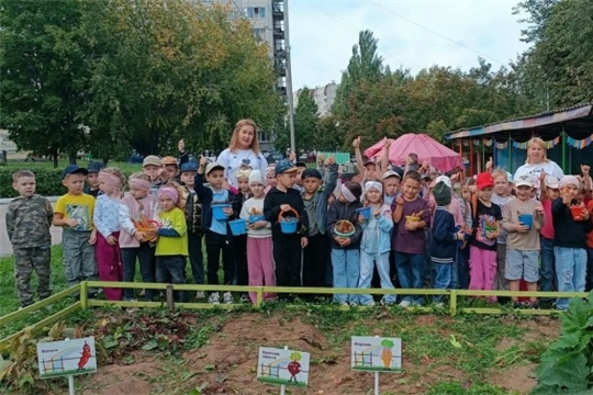 Собираем урожай
