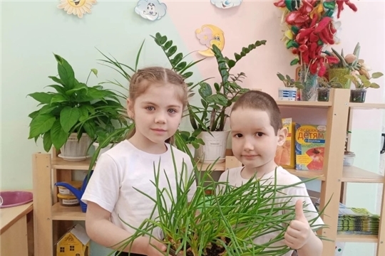 Где живут витамины 