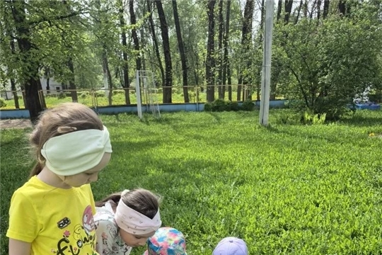 Осторожно, кровососущие насекомые