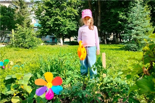 Польза овощей 