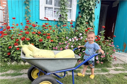 Овощи, ягоды, фрукты — полезные продукты!