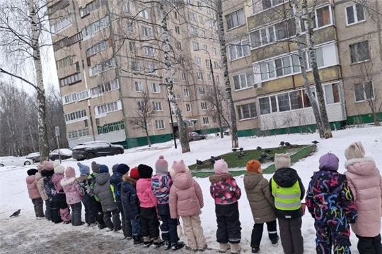Наблюдение за птицами