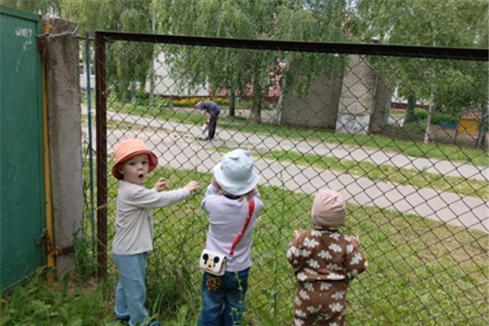 Наблюдение за трудом взрослых