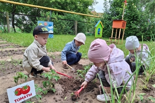 Малыши ухаживают за огородом