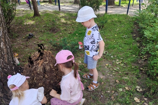 Летние тайны или маленькие шаги к большой природе