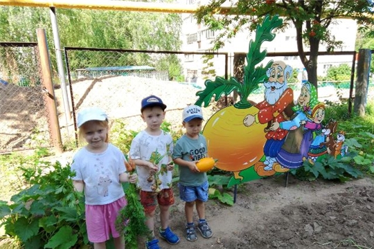 Наблюдение за овощами на огороде