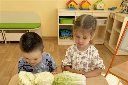 «Польза капусты»