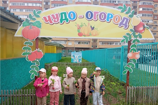 «Витамины на грядке»