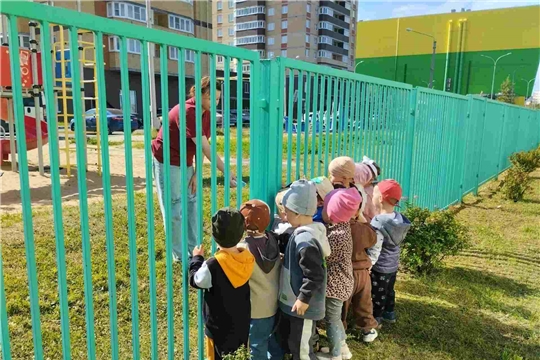 «Безопасность с незнакомцами»