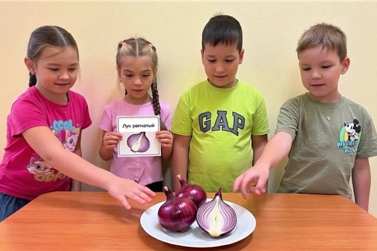«Всемирный день лука»
