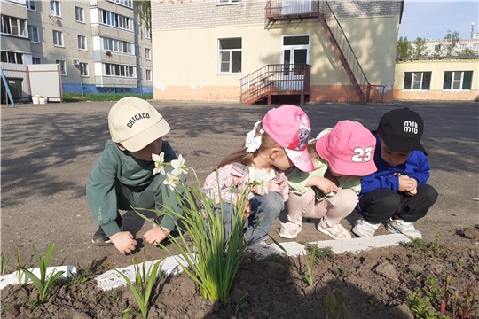 Насекомые... Всегда ли это безопасно?