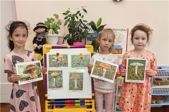 Безопасность на прогулке