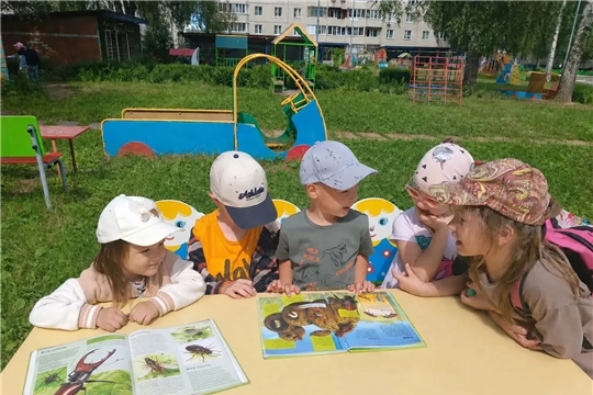 Летний проект "Насекомые"