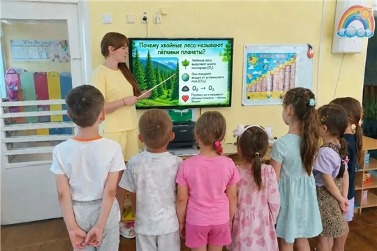 Летний проект "Хвойные и лиственные деревья"
